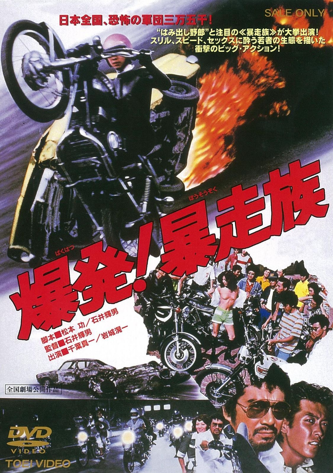 爆発! 暴走族 [DVD]