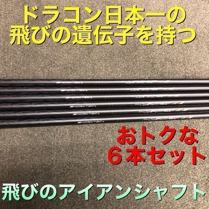 【アイアン用6本】ドラコン日本一の遺伝子! ワークスゴルフ　ワークテック　 Vスペック3 シャフト