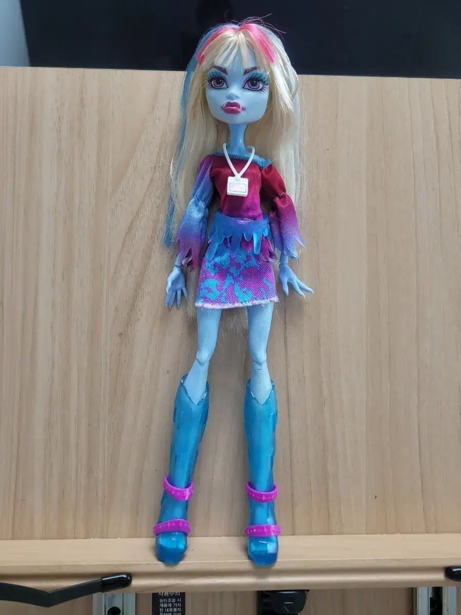 MONSTER HIGH 몬하돌 Abbie BOOMINABLE