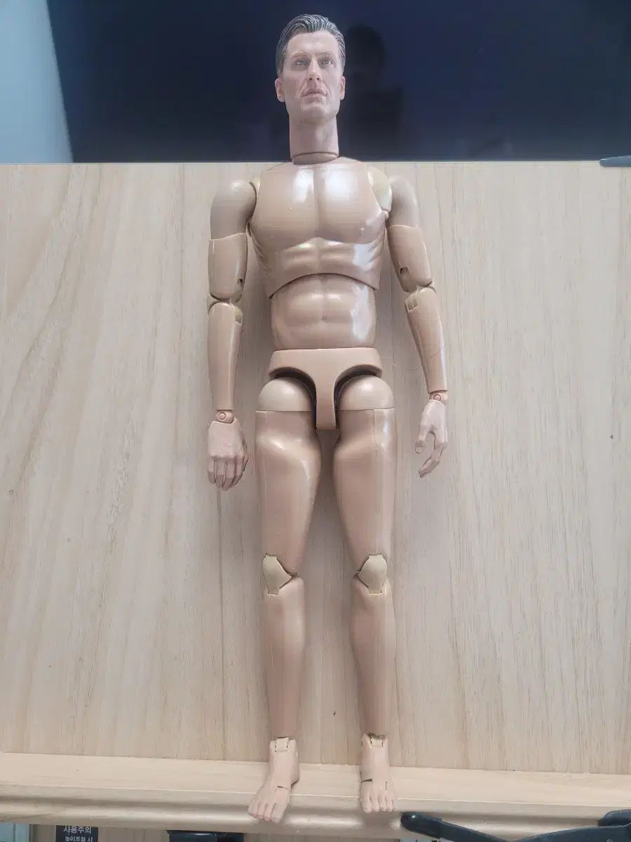 メンズ ボディ アクション フィギュア
