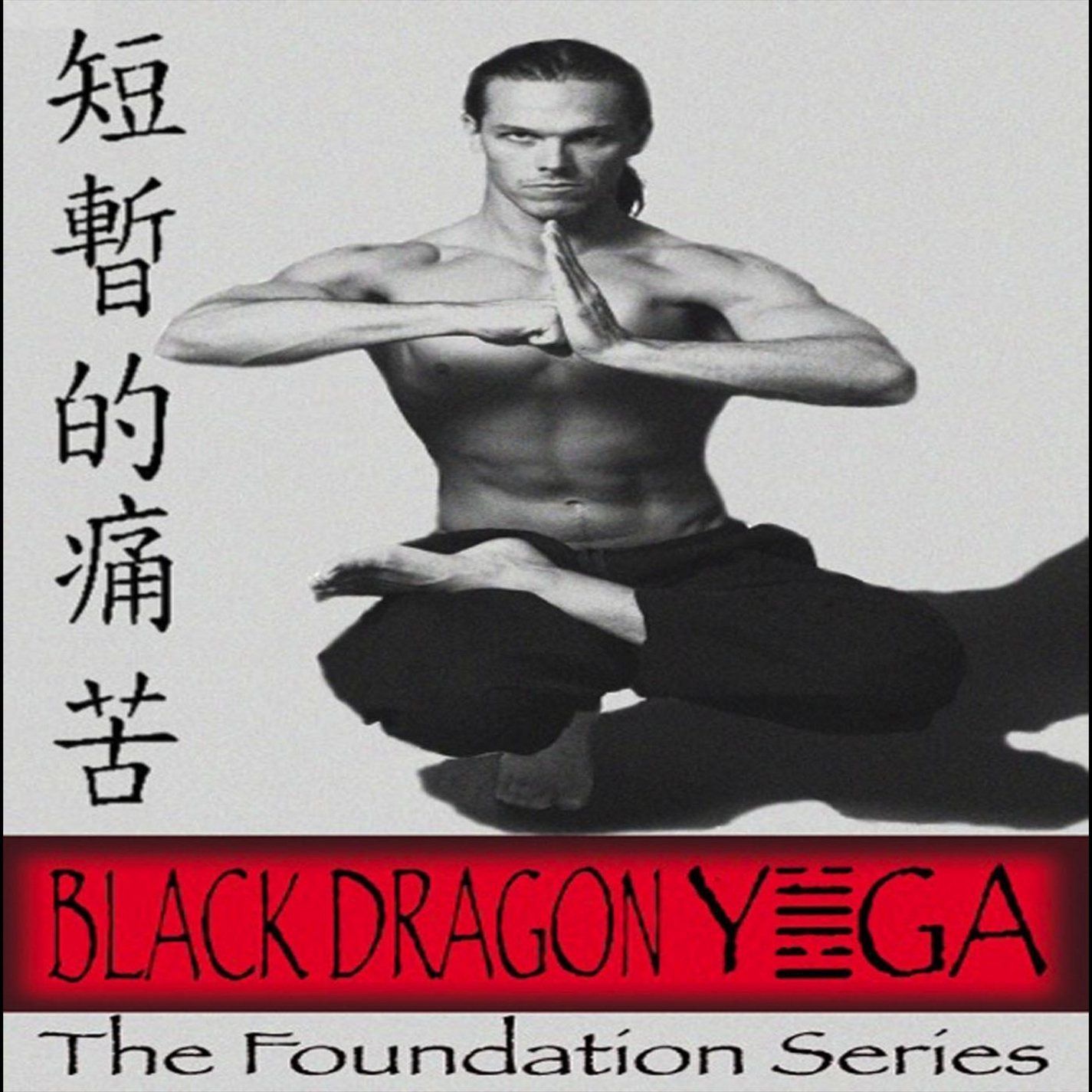 Black Dragon Yoga: The Foundation Series [DVD]