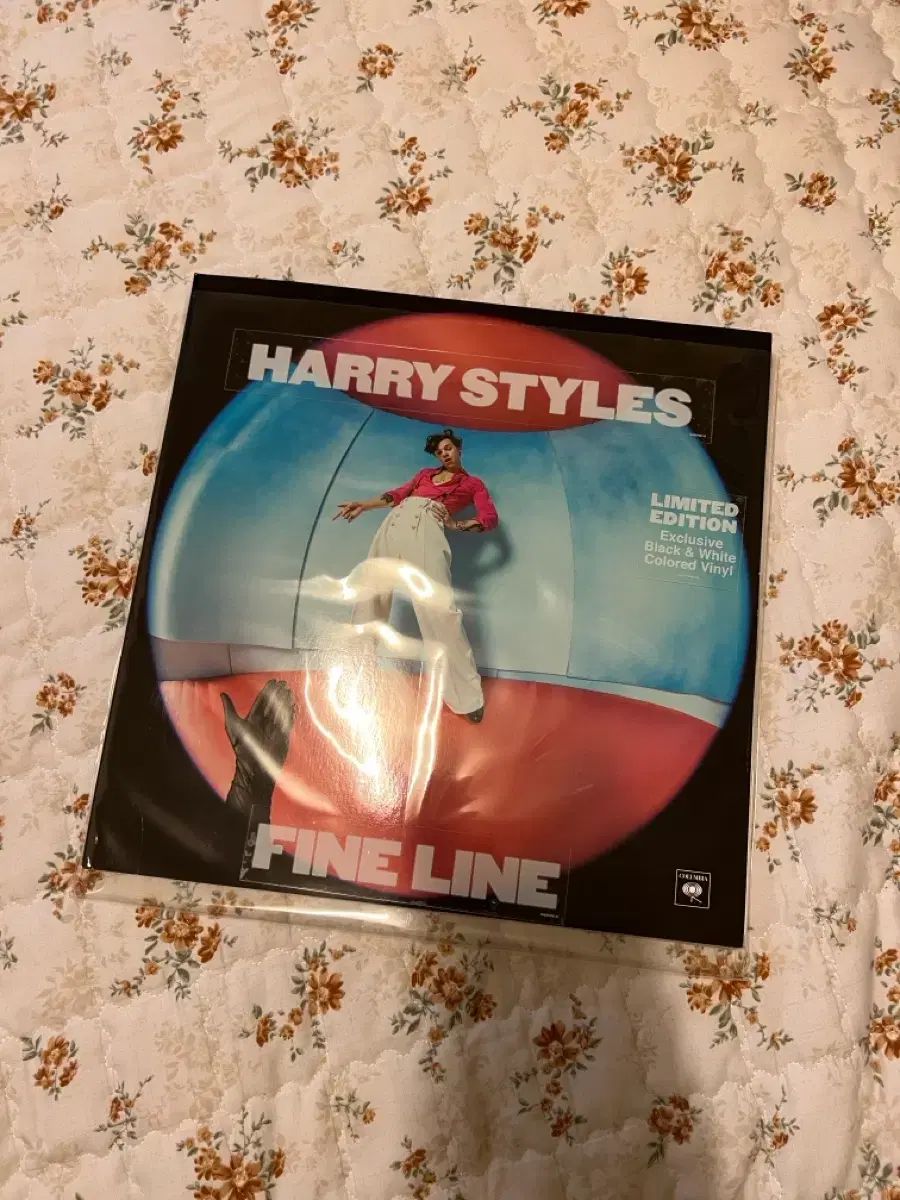 ももなり高 「荒らぶる獅子」全10巻と「血と抗争 菱の男たち」全12巻の