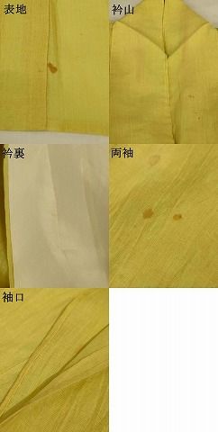平和屋着物*夏物 小千谷ちぢみ 枯草色 麻 逸品 AABJ2429jd 平和屋着物*夏物 小千谷ちぢみ 枯草色 麻 逸品 AABJ2429jd