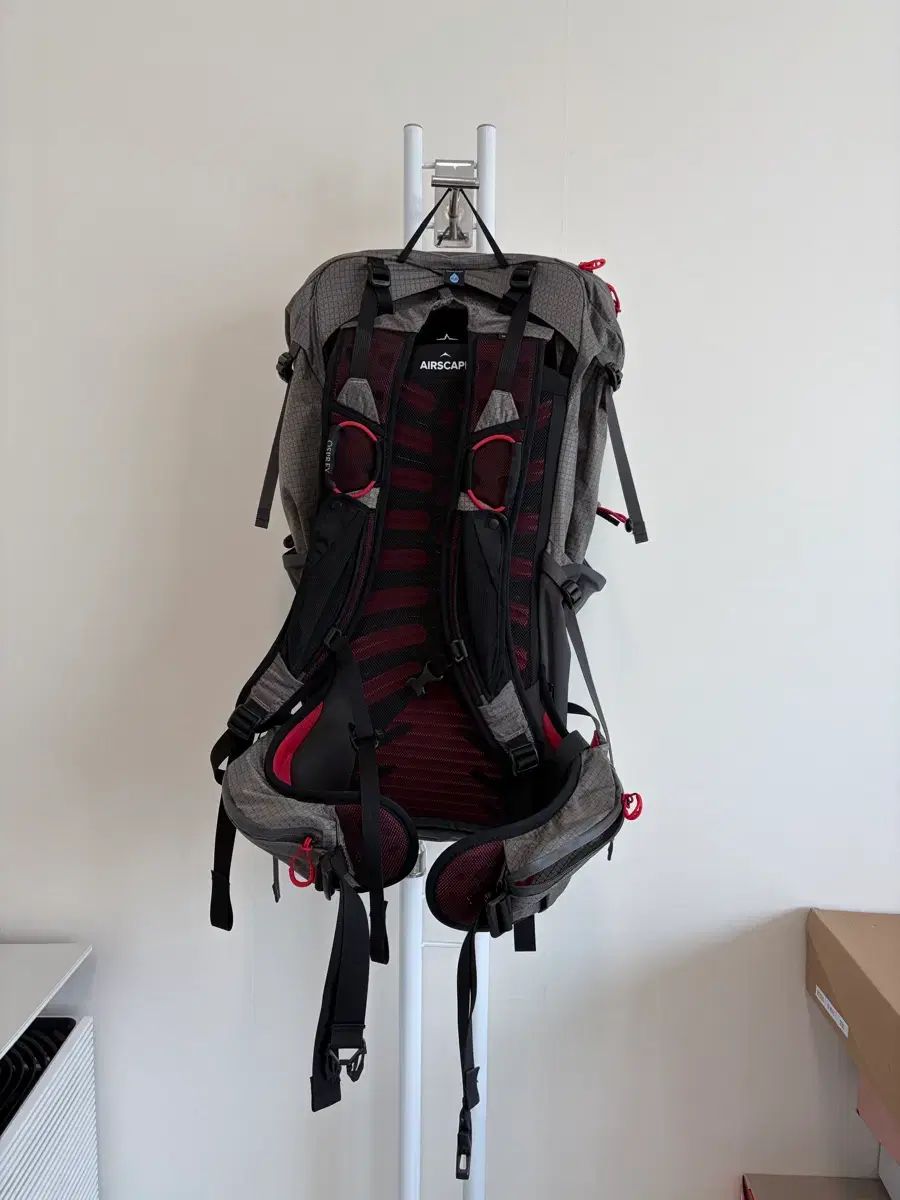 オスプレイ(OSPREY) タロン プロ 30 グレー/レッド オスプレイ(OSPREY) タロン プロ 30 グレー/レッド