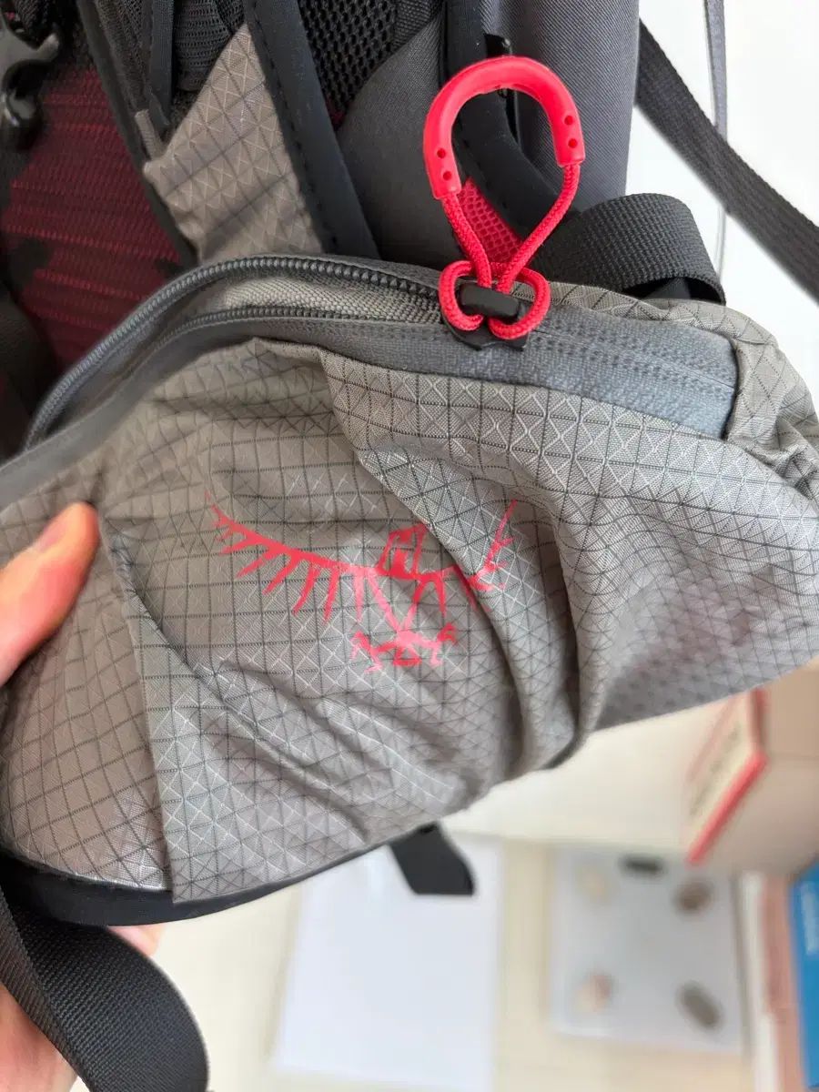 オスプレイ(OSPREY) タロン プロ 30 グレー/レッド オスプレイ(OSPREY) タロン プロ 30 グレー/レッド