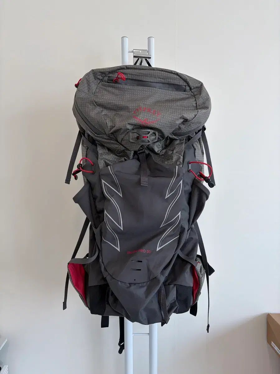 オスプレイ(OSPREY) タロン プロ 30 グレー/レッド