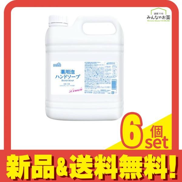 ミツエイ スマイルチョイス 薬用泡ハンドソープ 詰め替え用 大容量 4L 6個セット まとめ売り