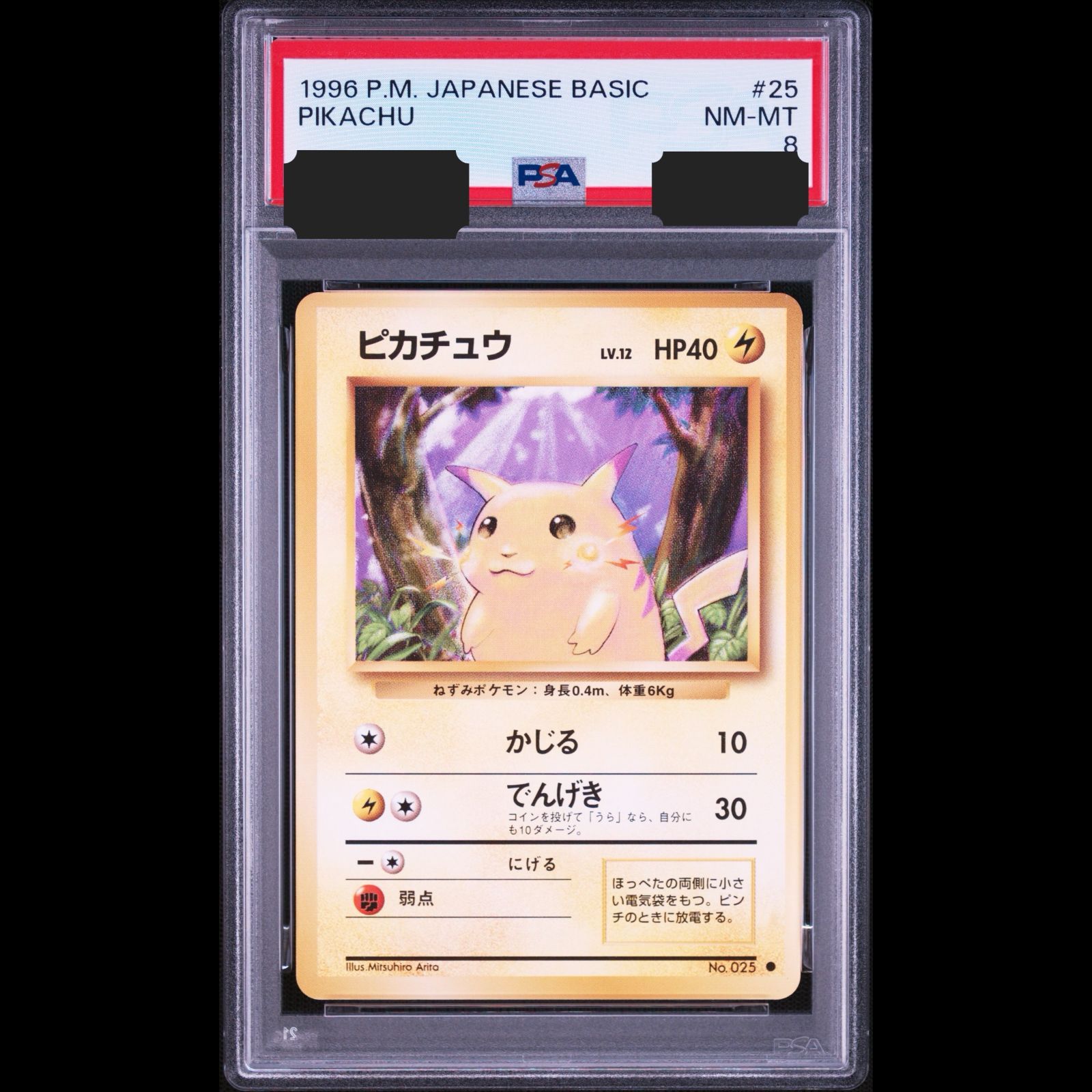 【送料無料】ポケモンカード 旧裏面 ピカチュウ PSA8 PSA鑑定