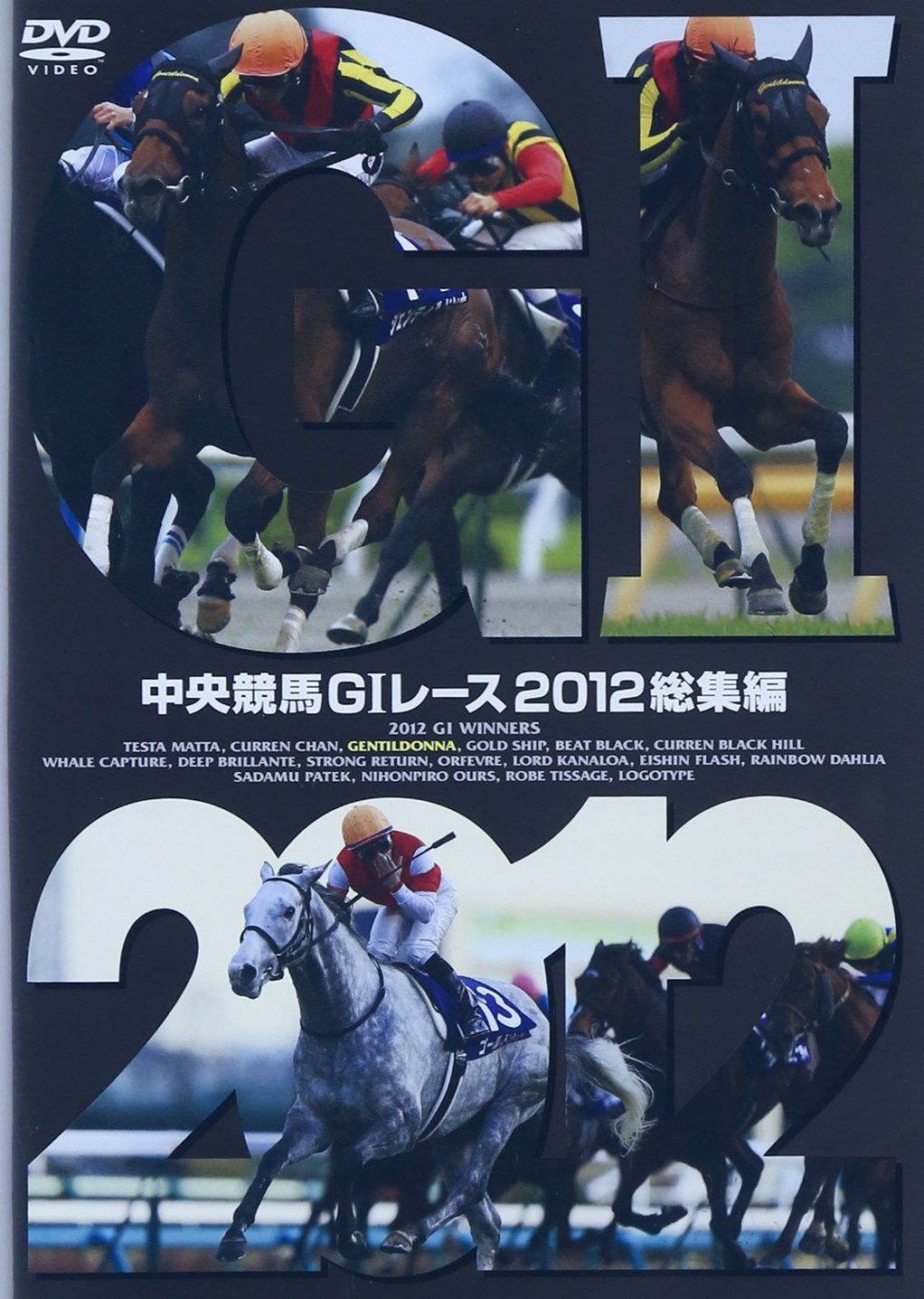 中央競馬GIレース 2012総集編 [DVD]