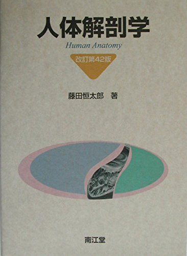 人体解剖学