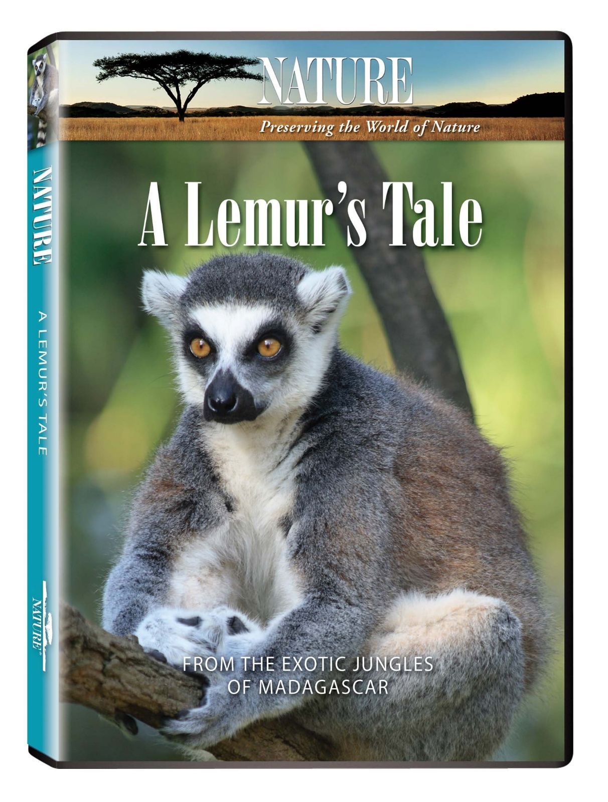 Nature: A Lemur's Tale [DVD]