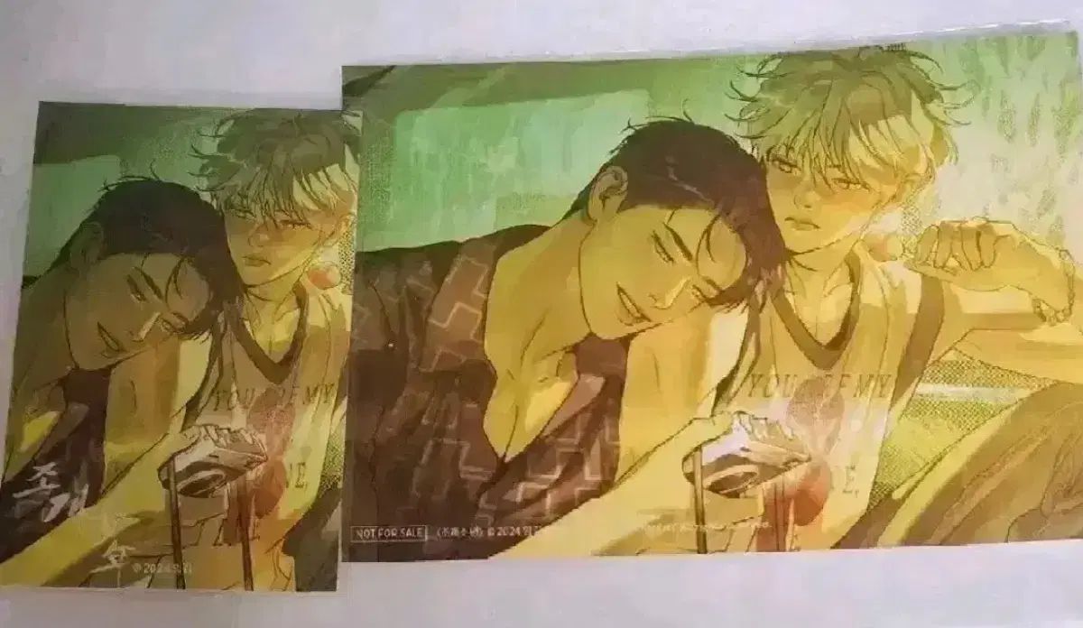 フジツボボーイ 特典 プリント写真と 入場 ステッカー