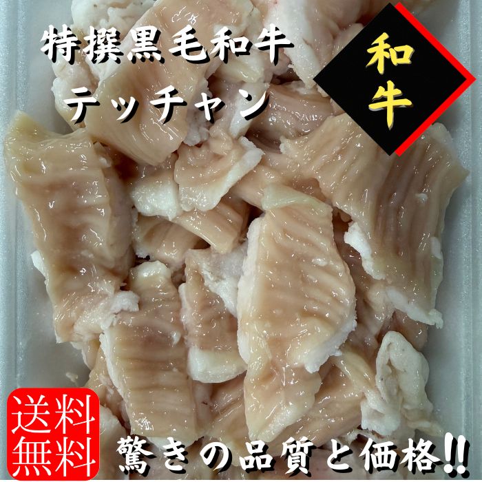 特撰黒毛和牛　テッチャン　シマチョウ　トロ　焼肉　もつ鍋　4キロ