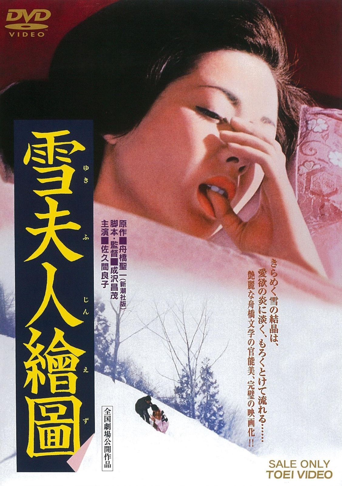 雪夫人絵図 [DVD]