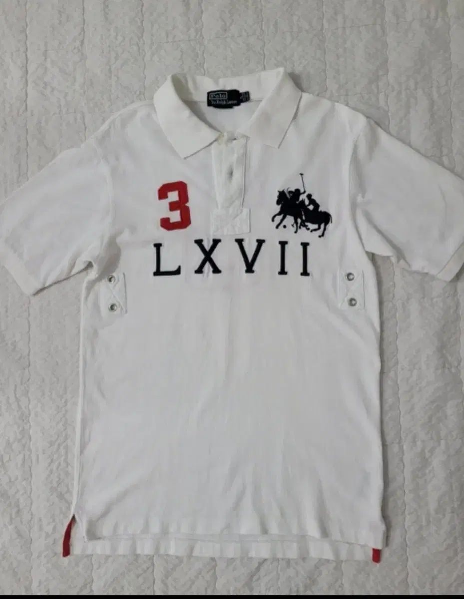 ポロ ビックポニー カラーTシャツ