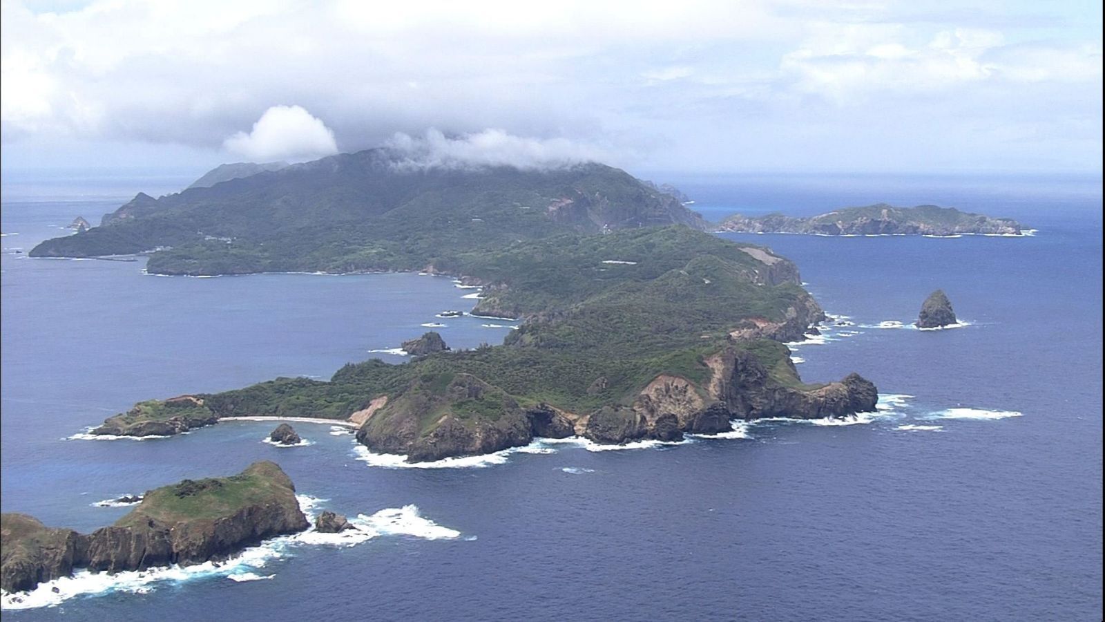 ワイルドライフ 世界自然遺産 小笠原諸島 絶海の楽園に奇跡の進化を見た [DVD]
