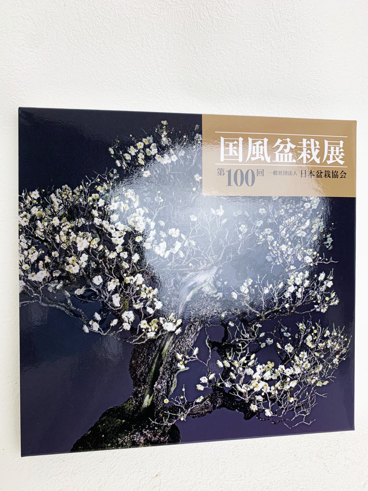 国風盆栽展 第100回 記念帳 2026年 日本盆栽協会 写真集 100th Kokufu Bonsai Exhibition Book Nippon Bonsai Association Japan 雅風展 小品盆栽 水石 大観展