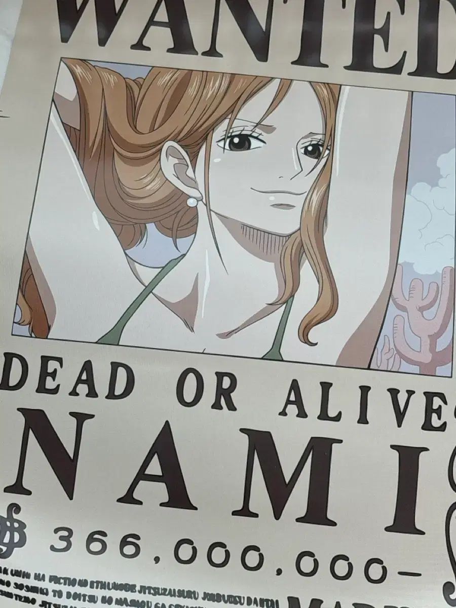 まとめ売り中) ONE PIECE ナミ トニートニー・チョッパー ポスター