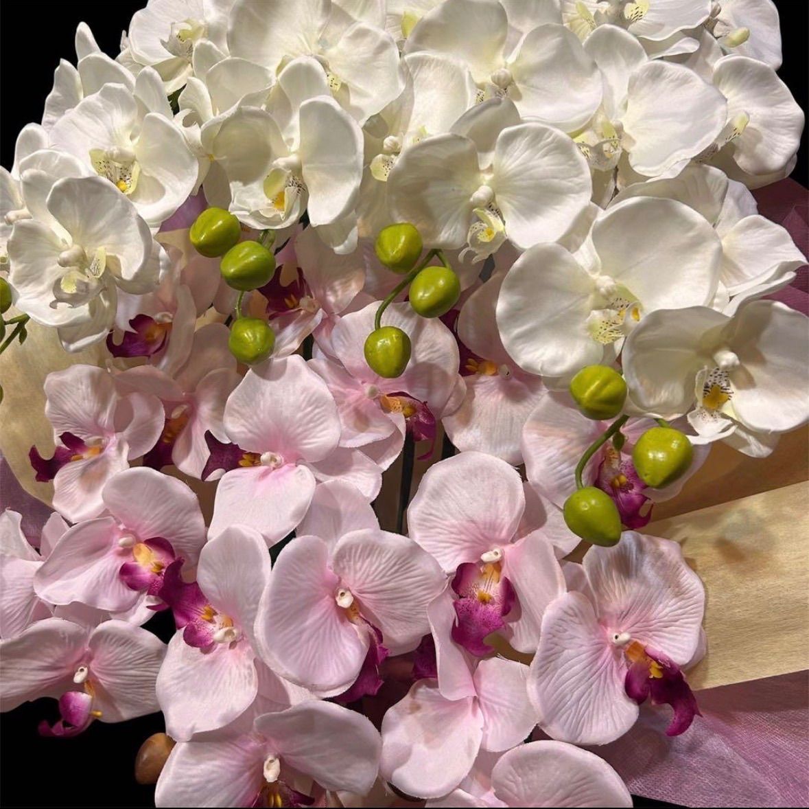 光触媒 人工観葉植物 ウォールグリーン フェイクグリーン 胡蝶蘭2色7343@@