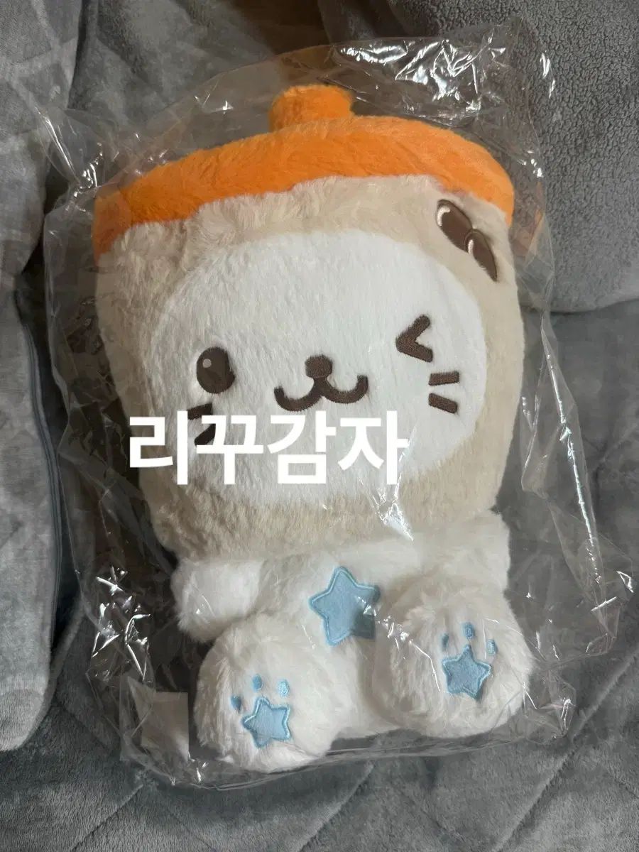 未開封) NCT WISH WIND AND WISH ベイカーリー 30cm BUBBLE TEENFRESH 結 -YOU-