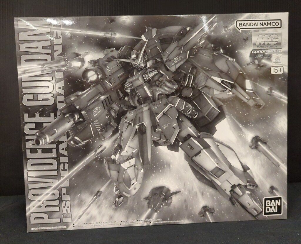 BANDAINAMCO/BANDAISPIRITS MG 1/100 バンダイナムコ版 プロヴィデンスガンダム スペシャルコーティング