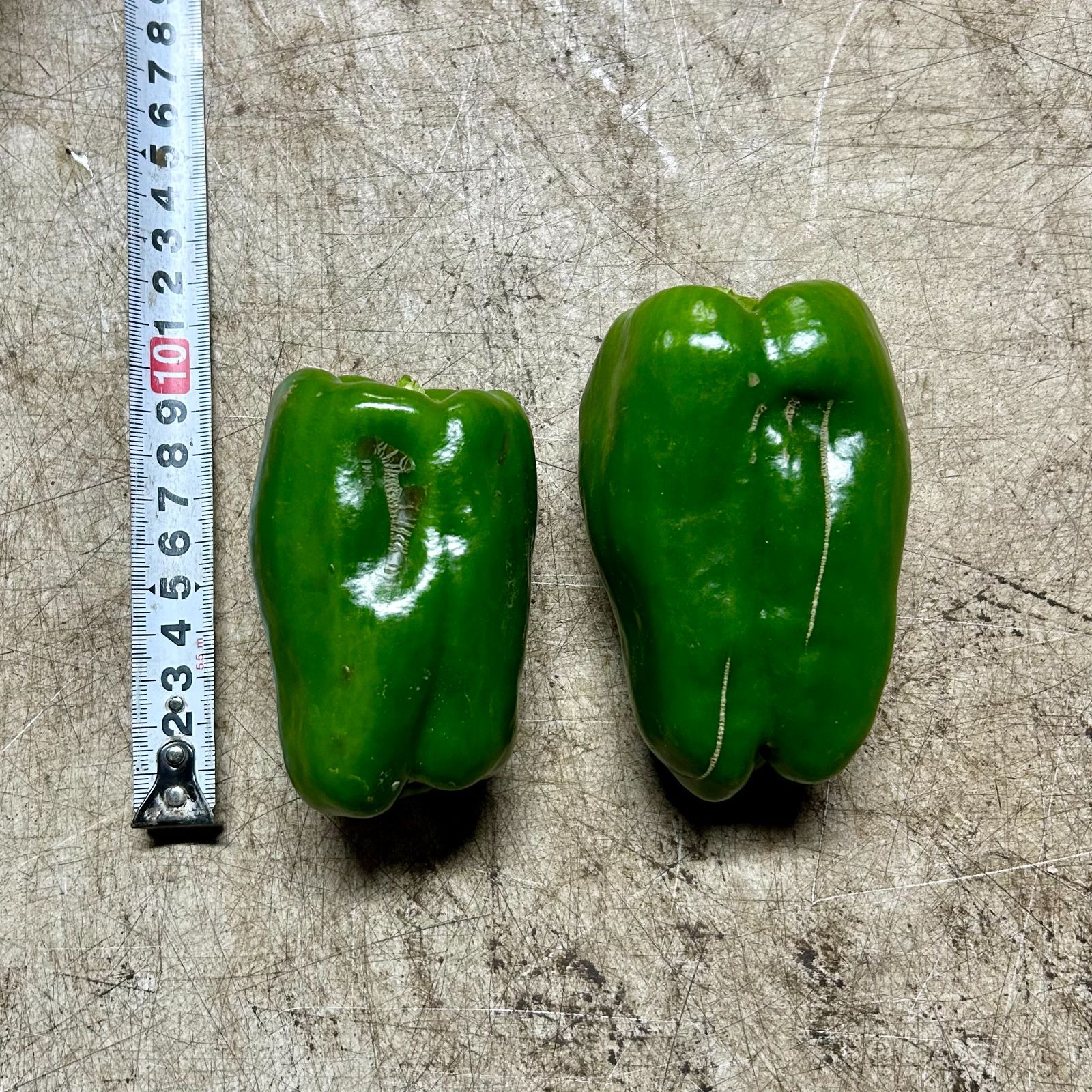 訳あり】茨城県産 ピーマン 4kg 朝採れ - メルカリ