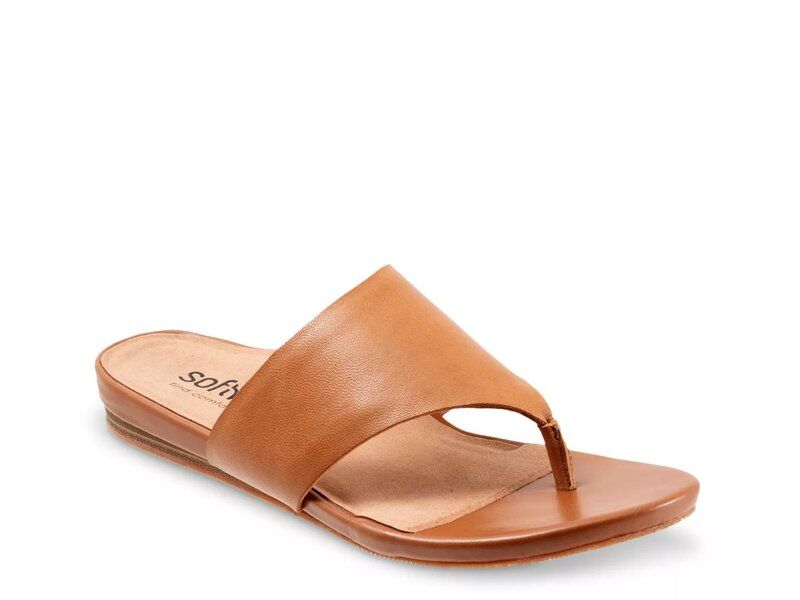 ソフトウォーク レディース シューズ サンダル Softwalk Chandler Sandal Brown ブラウン