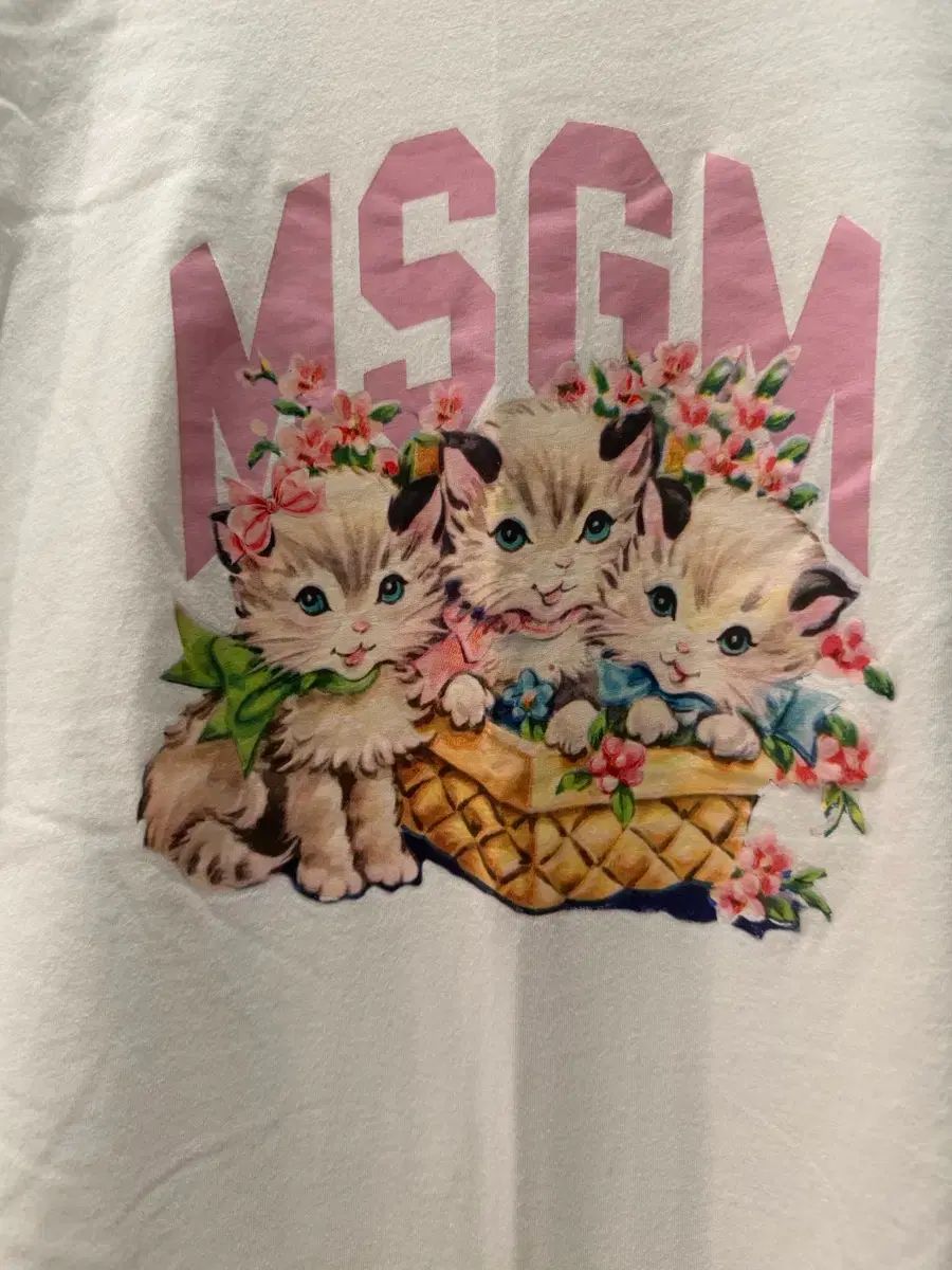 MSGM キトン 半袖Tシャツ 16歳 成人 レディース 55-55 5 IN