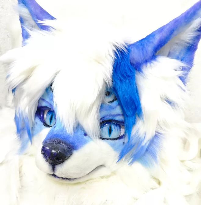 犬　猫　着ぐるみ ヘッド全頭　ヘッド ケモノ ファースーツ ぬいぐるみ コスプレ コスチューム Kurumi 一点物 C583