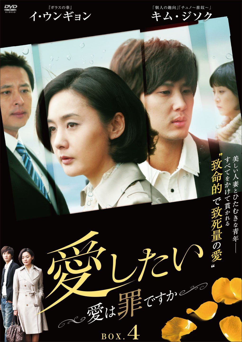 愛したい ~愛は罪ですか~ DVD-BOX4
