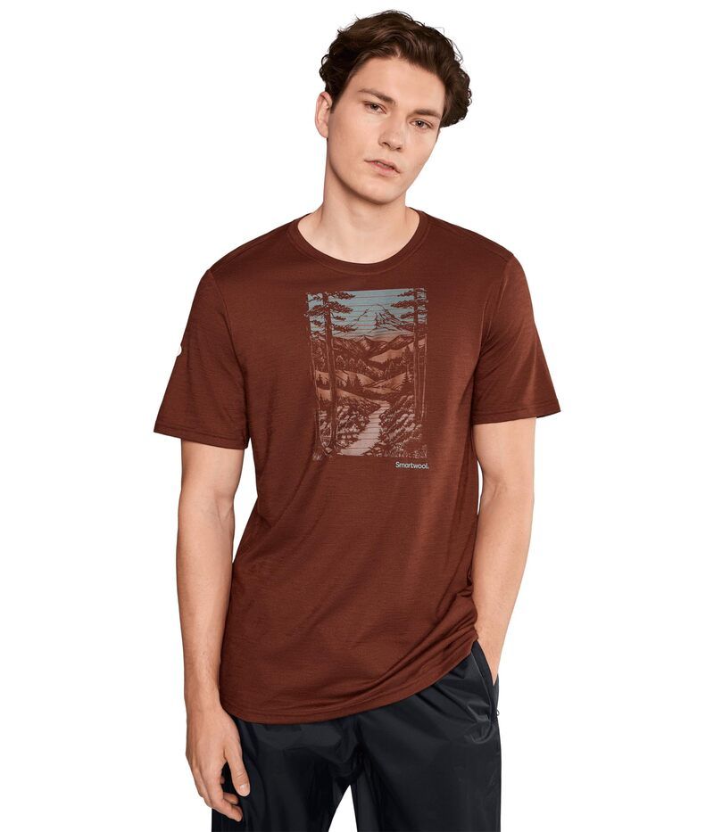 スマートウール メンズ トップス シャツ グラフィック Smartwool Winding Trail Active Short Sleeve Graphic Tee Burnt Sienna