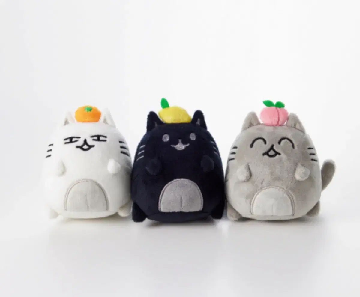 SEVENTEEN ジュン ぬいぐるみ Fever 開けて閉めてロック Fever開閉ロック Artistメイド ぬいぐるみ