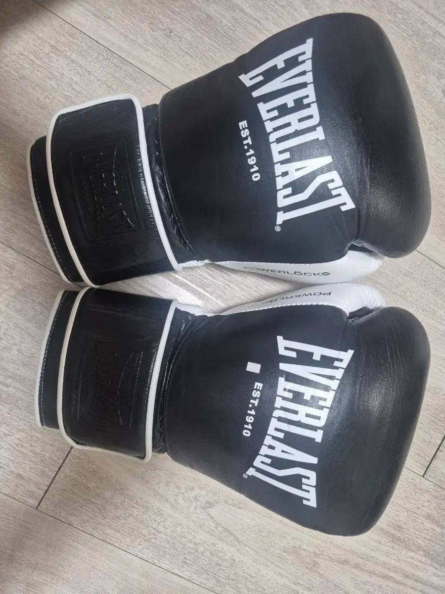 EVERLAST(エバーラスト) パワーロックogプロ 16オンス ボクシンググローブ