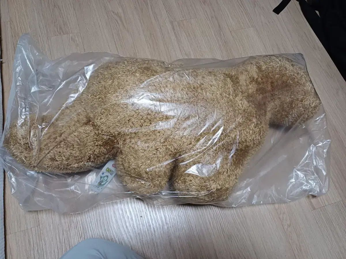 (新品/正規品) ヨンガリぬいぐるみ (中)