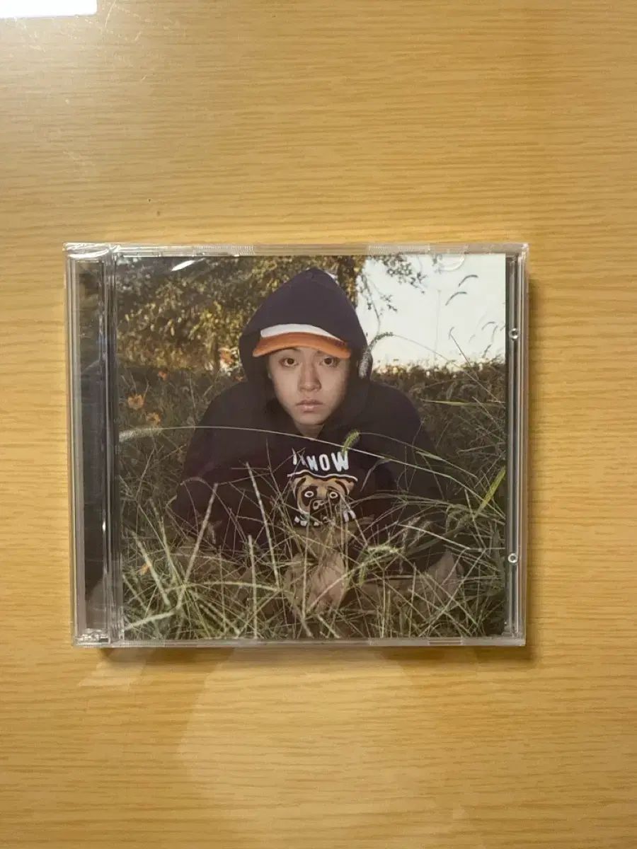 リズム ー cicada cd