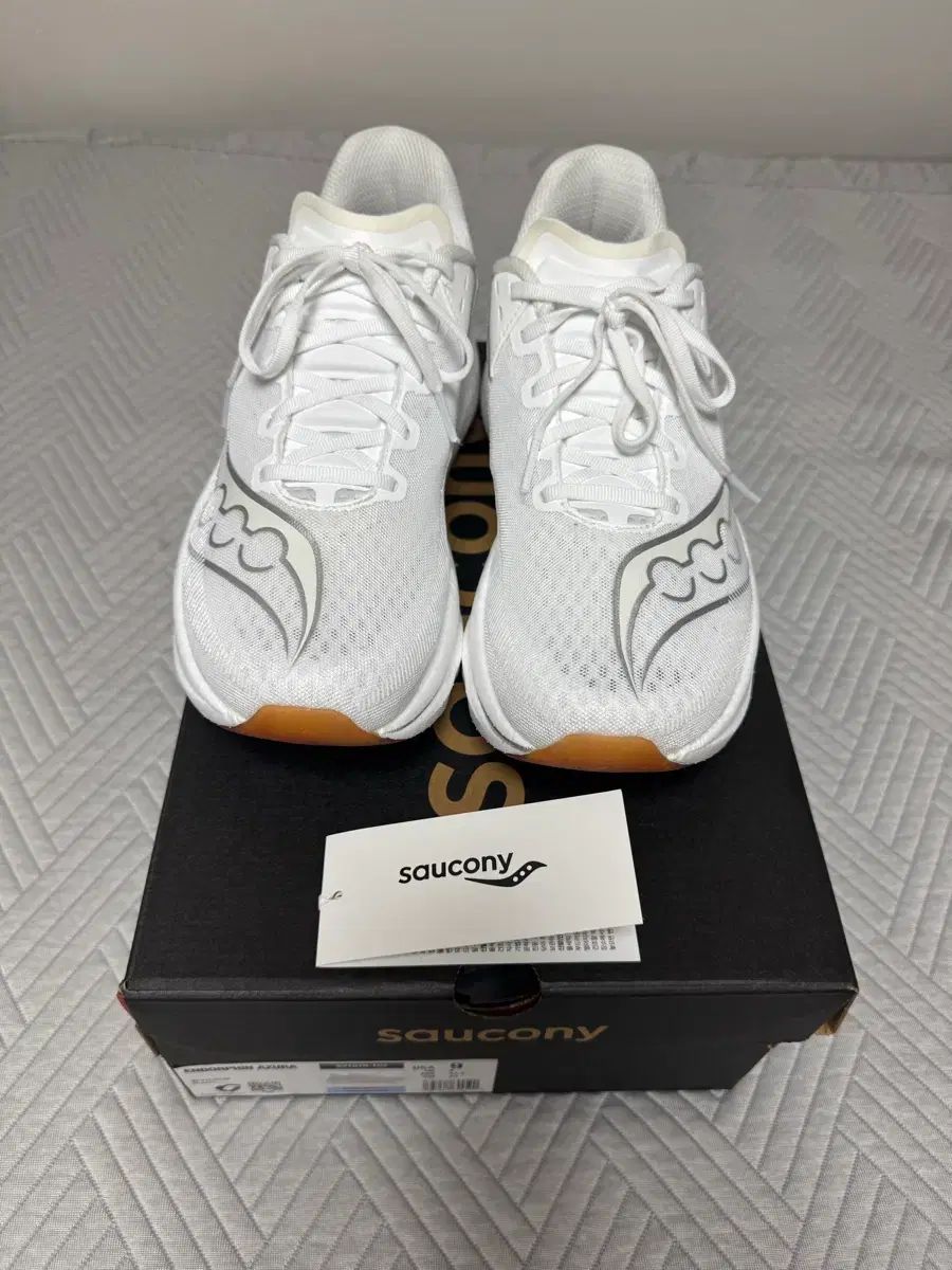 Saucony (サッカニー) エンドルフィン Azura (アズラ) 270