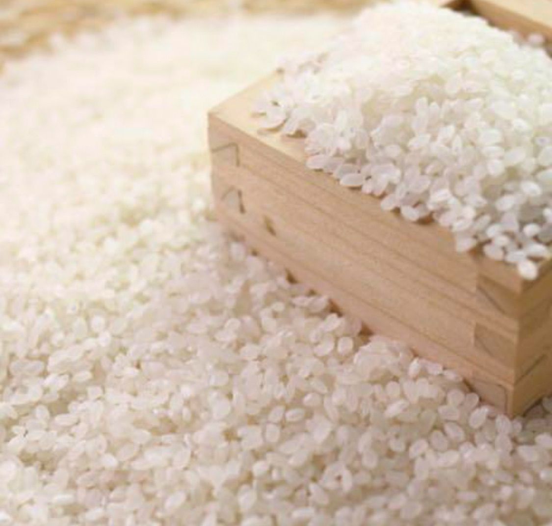 ⭐︎令和7年新白米⭐︎ 徳島県産　那賀川　上白米　25kg サイズ送料無料