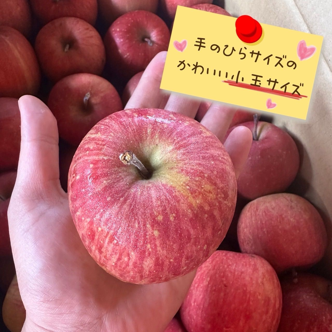 青森県産