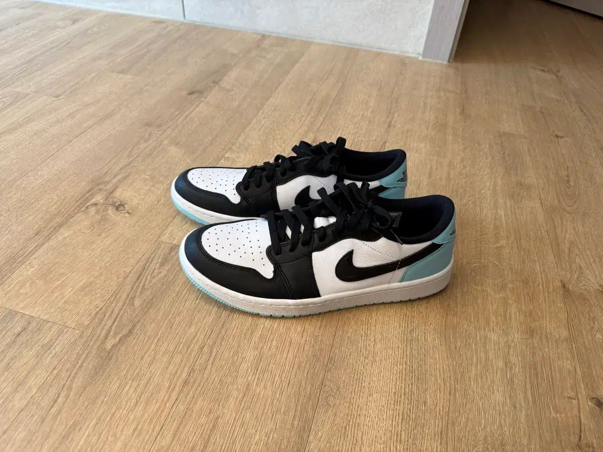 NIKE(ナイキ) ジョーダン 1 ゴルフシューズ