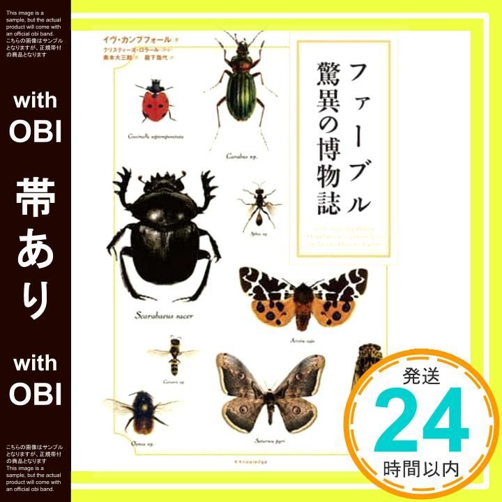 【帯あり】ファーブル驚異の博物誌 [単行本（ソフトカバー）] イヴ・カンブフォール? 奥本 大三郎; 瀧下 哉代_07