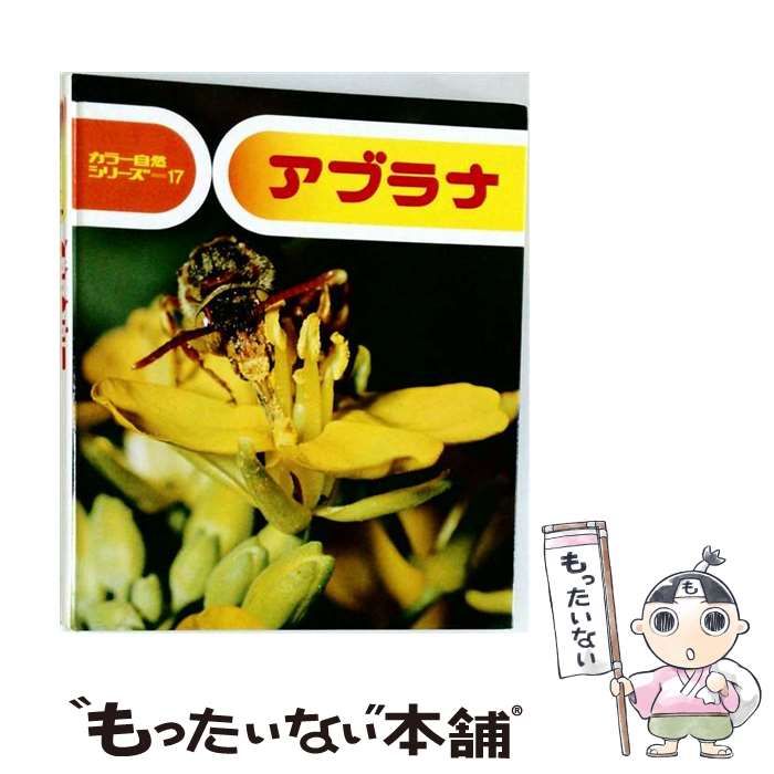【中古】 アブラナ (カラー自然シリーズ 17) / 七尾純、小田英智 / 偕成社