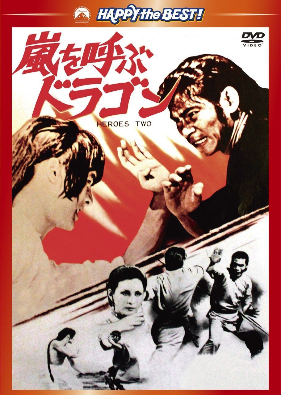 嵐を呼ぶドラゴン [DVD]