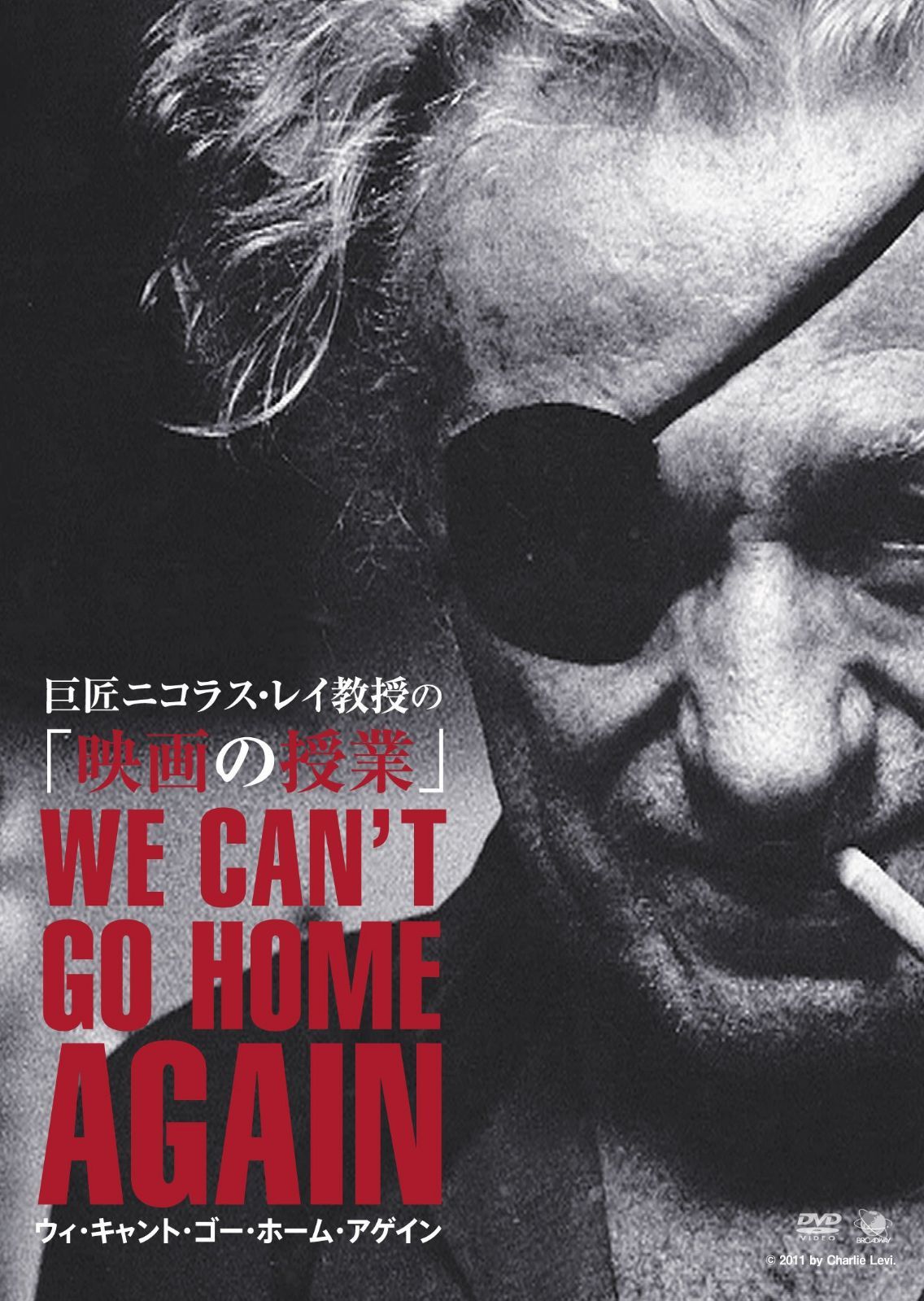 巨匠ニコラス・レイ教授の「映画の授業」 ウィ・キャント・ゴ―・ホーム・アゲイン [DVD]