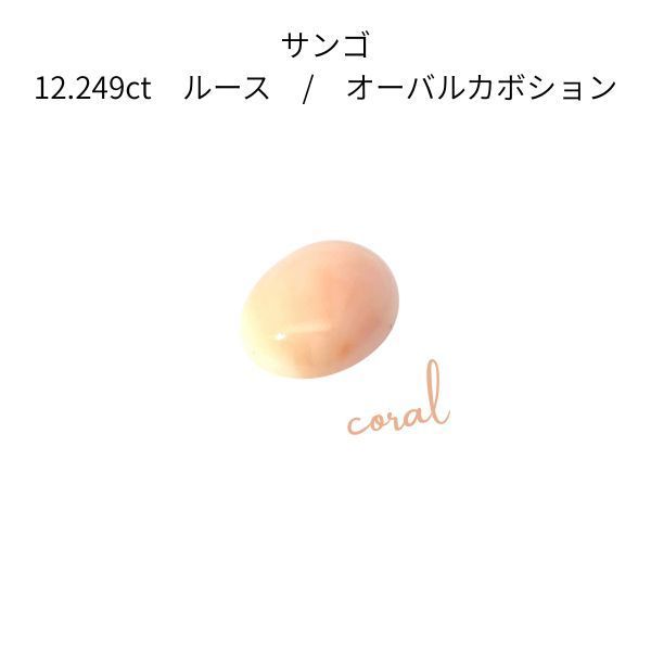 【鑑別書付】天然 サンゴ 12.249ct ルース 日米宝石鑑別センター 大粒 12.249ct 珊瑚 さんご コーラル 裸石 宝石 天然石 ジュエリー アクセサリー 高級