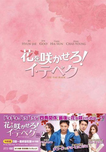 花を咲かせろ! イ・テベク DVD-BOX2