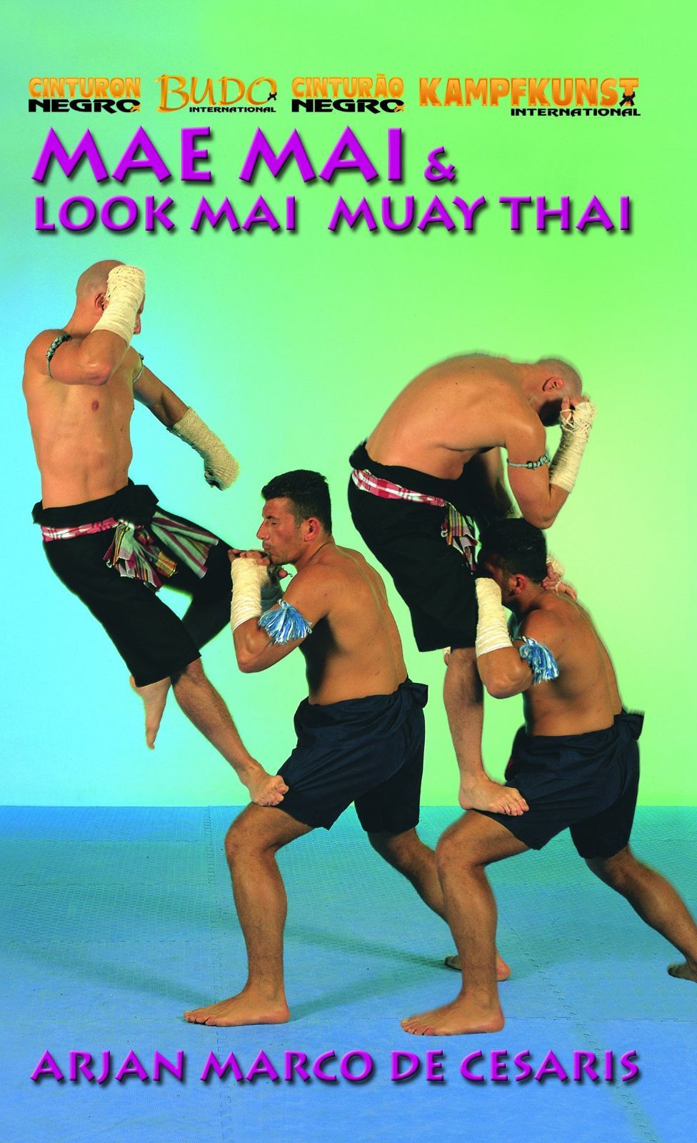 Mae Mai & Look Mai Muay Thai [Import anglais]