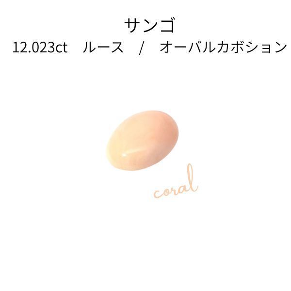 【鑑別書付】天然 サンゴ 12.023ct ルース 日米宝石鑑別センター 大粒 12ct 珊瑚 さんご コーラル 裸石 宝石 天然石 ジュエリー アクセサリー 高級