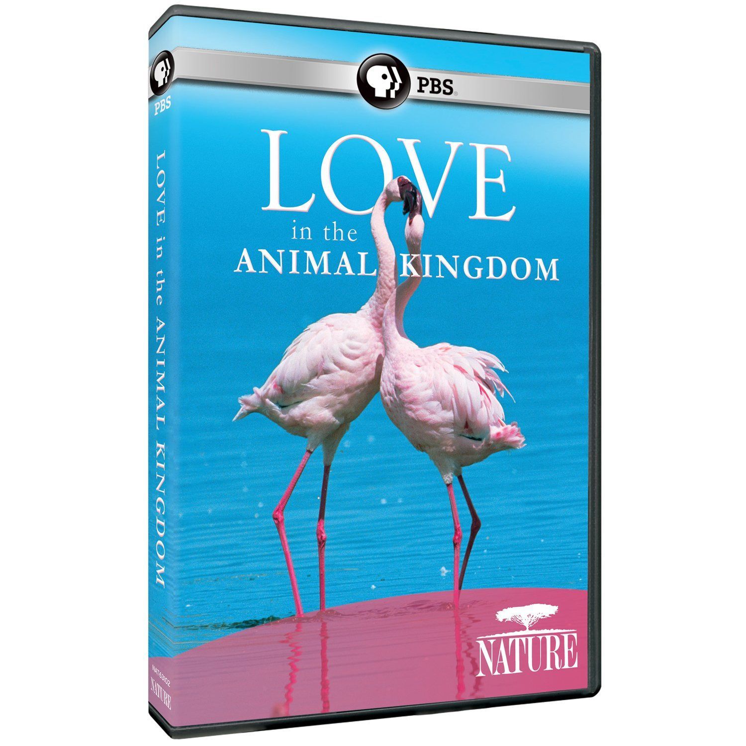 Nature: Love in the Animal Kingdom [DVD]