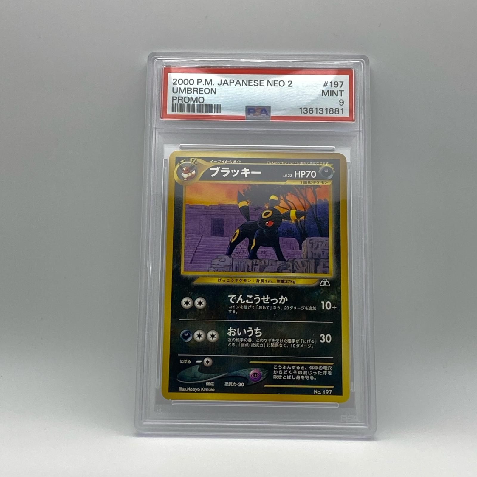 【極美品】 ポケモンカード 旧裏 ブラッキー　PSA9　プレミアムファイル2 PSA9 極美品 Pokemon ポケモン ポケモンカード ブラッキー 旧裏