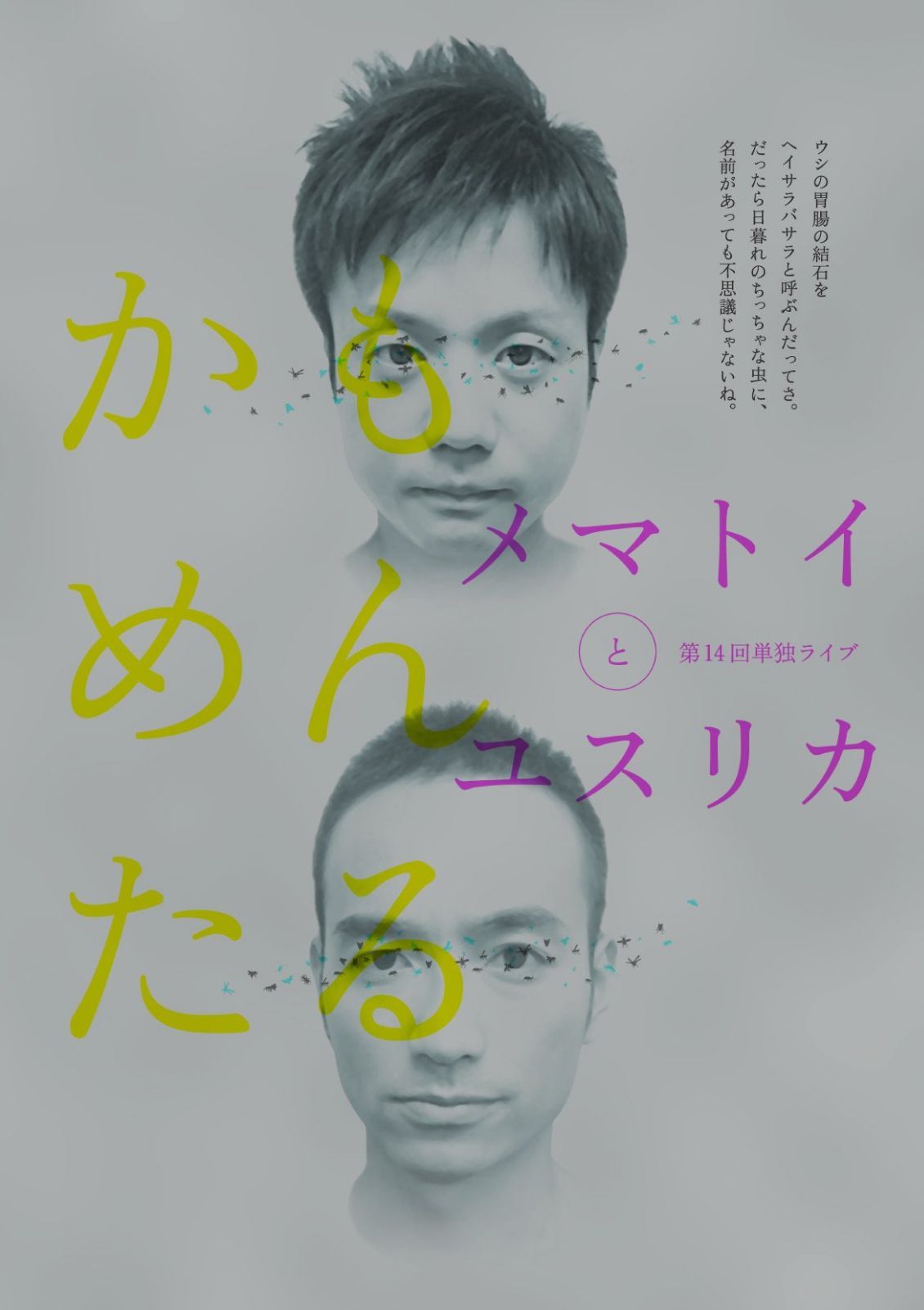 かもめんたる単独ライブ「メマトイとユスリカ」 [DVD]